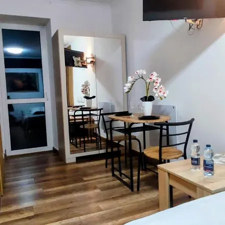 W Centrum Starego Krakowa Appartement Cracovie