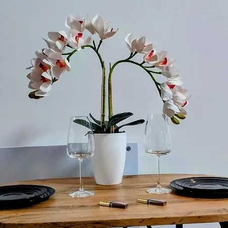 Appartement Stylowy Apartament, Stare *